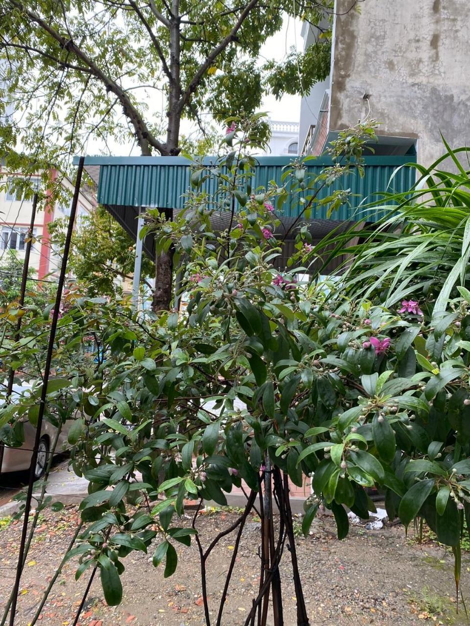 下龍Nha Nghi Anh Dung住宿加早餐旅馆 外观 照片